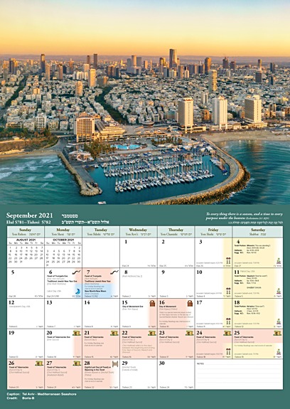 features_rotate_575_2021_2