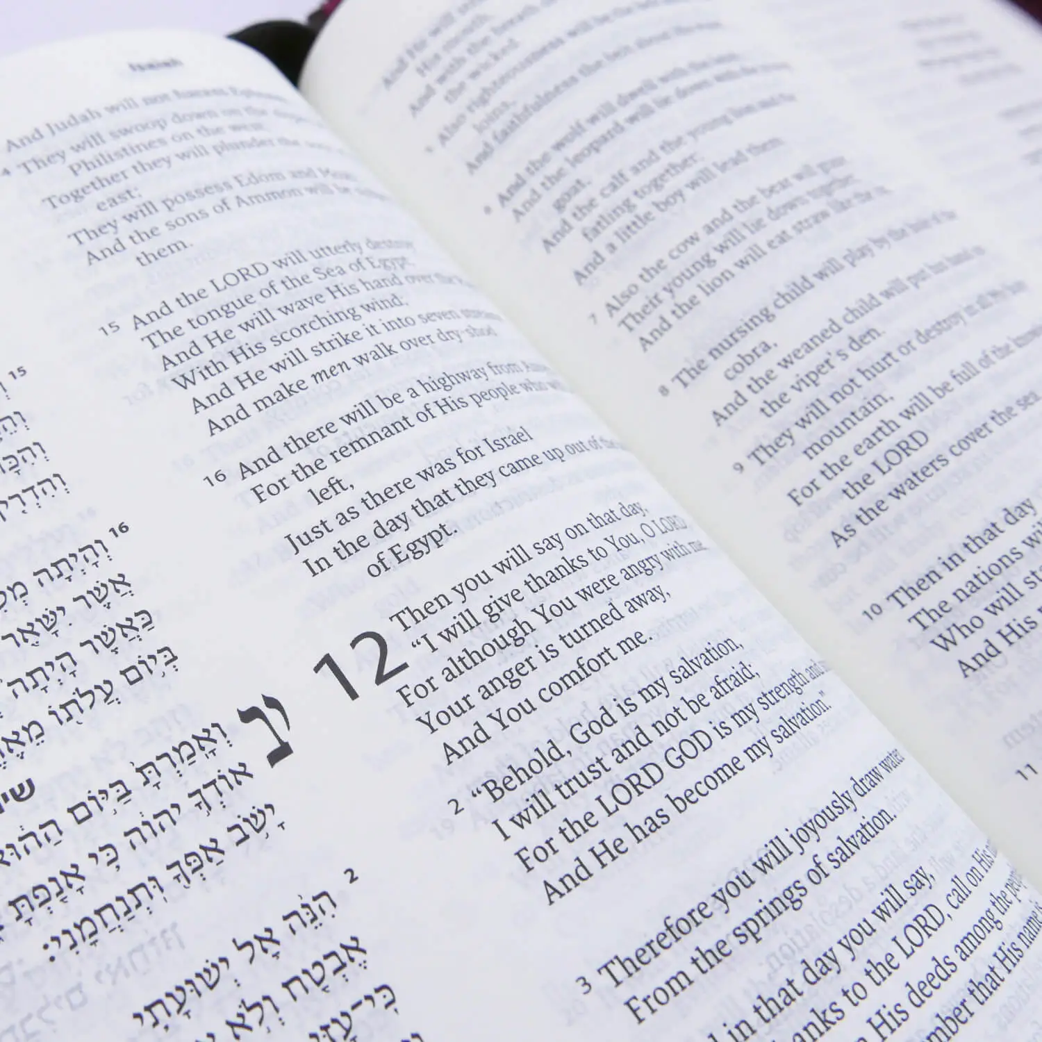 Hebrew Version Of The Bible In English OGEW