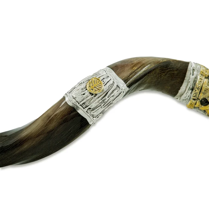 Shofar - Yemenite with Silver and Gold, Menorah, Lion of Judah and Cluster of Grapes - Image 3