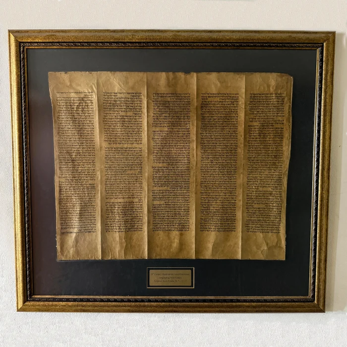 Torah Scroll - Antique Sephardic Torah Fragment Handwritten on Sheep Skin Genesis 27:12 - Genesis 29:17 - Image 4