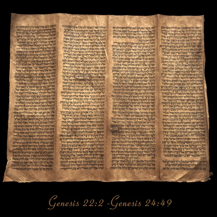 Torah Scroll - Antique Sephardic Torah/Hebrew Bible Pages Handwritten, Genesis 22:2 – Genesis 24:49