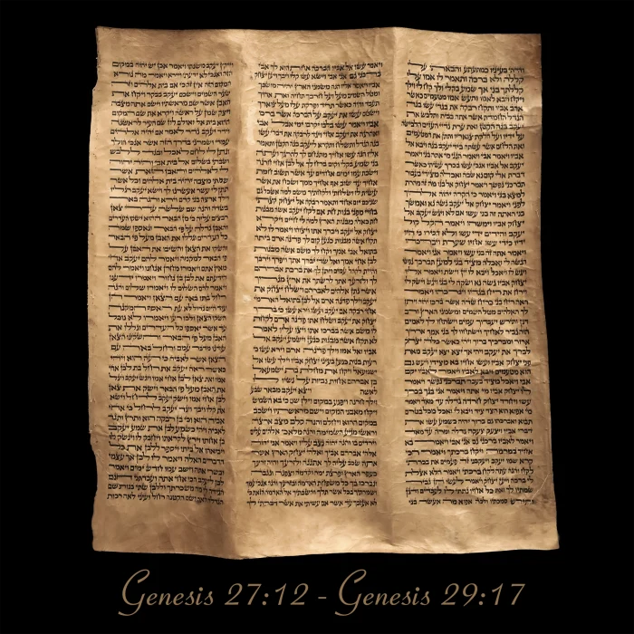 Torah Scroll - Antique Sephardic Torah Fragment Handwritten on Sheep Skin Genesis 27:12 - Genesis 29:17