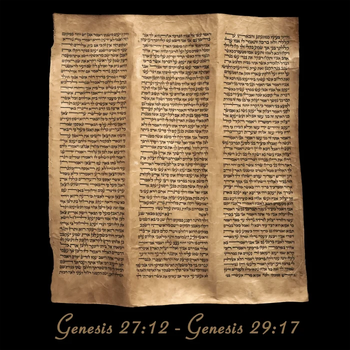 Torah Scroll - Antique Sephardic Torah/Hebrew Bible Pages Handwritten, Genesis 27:12 - Genesis 29:17