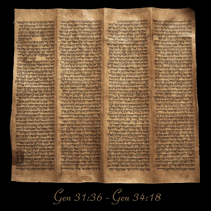 Torah Scroll - Antique Sephardic Torah Fragment Handwritten on Sheep Skin Genesis 31:36 - Genesis 34:18