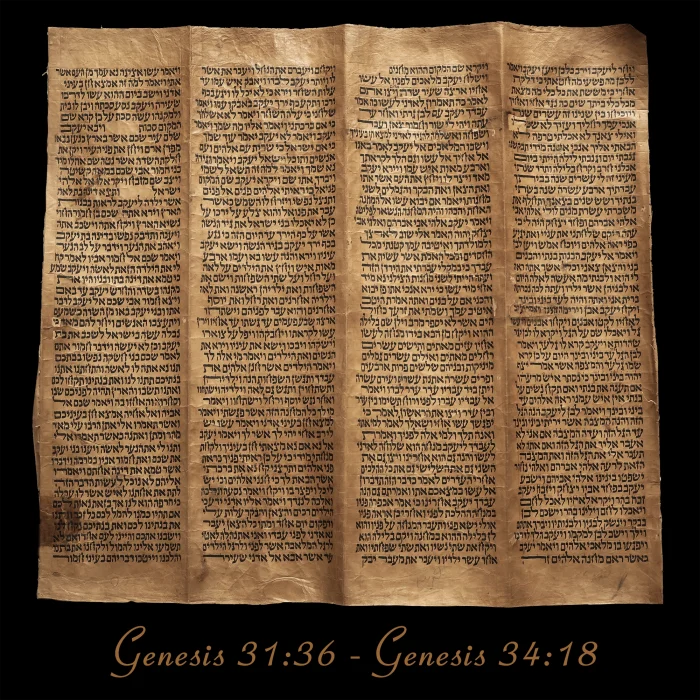 Torah Scroll - Antique Sephardic Torah/Hebrew Bible Pages Handwritten, Genesis 31:36 - Genesis 34:18