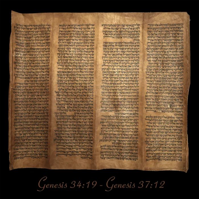 Torah Scroll - Antique Sephardic Torah Fragment Handwritten on Sheep Skin Genesis 34:19 - Genesis 37:12