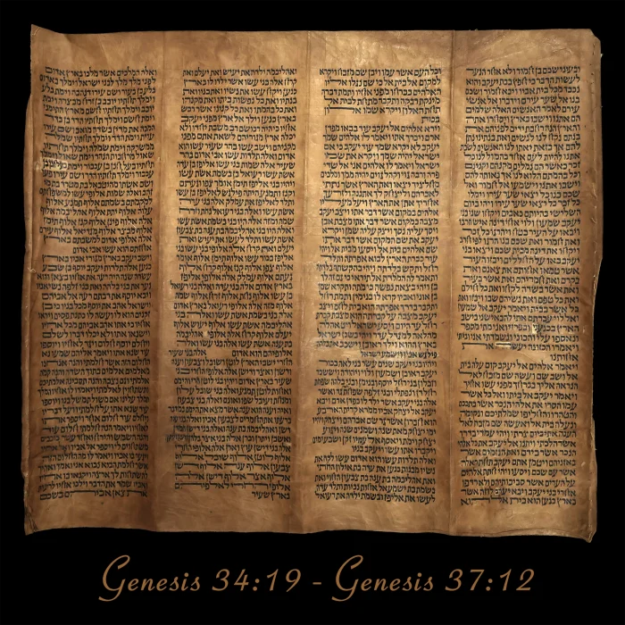 Torah Scroll - Antique Sephardic Torah/Hebrew Bible Pages Handwritten, Genesis 34:19 - Genesis 37:12