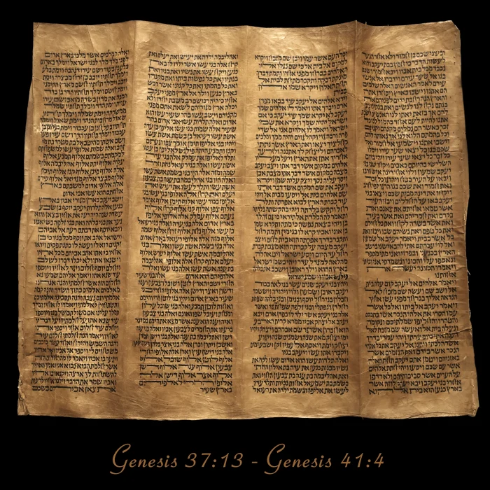 Torah Scroll - Antique Sephardic Torah/Hebrew Bible Pages Handwritten, Genesis 37:13 - Genesis 41:4