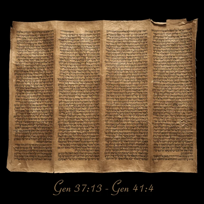Torah Scroll - Antique Sephardic Torah Fragment Handwritten on Sheep Skin Genesis 37:13 - Genesis 41:4