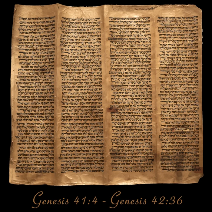 Torah Scroll - Antique Sephardic Torah/Hebrew Bible Pages Handwritten, Genesis 41:4 - Genesis 42:36