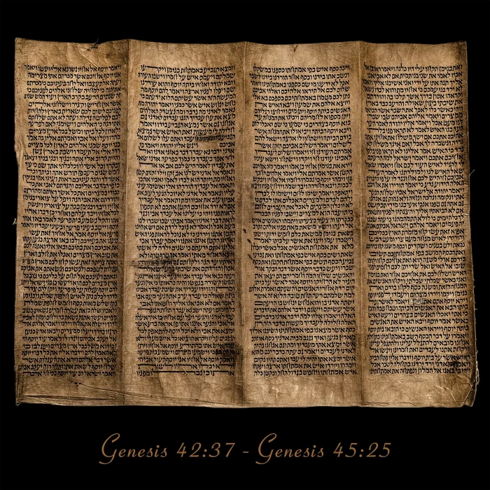 Torah Scroll - Antique Sephardic Torah/Hebrew Bible Pages Handwritten, Genesis 42:37 - Genesis 45:25