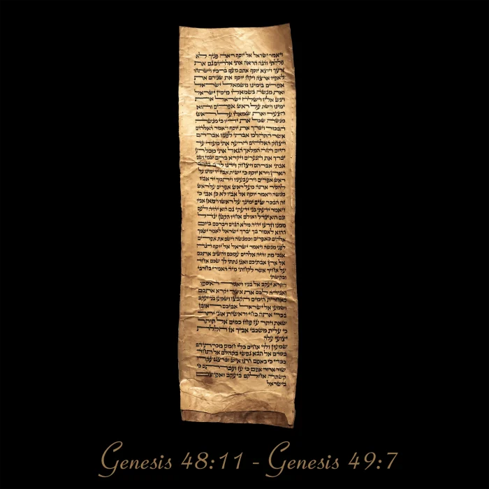 Torah Scroll - Antique Sephardic Torah Fragment Handwritten on Sheep Skin Genesis 48:11 - Genesis 49:7