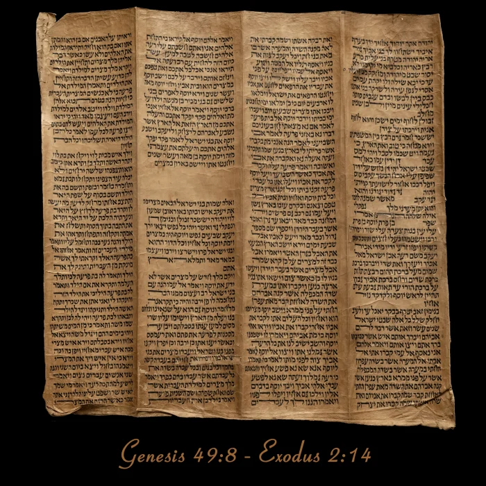 Torah Scroll - Antique Sephardic Torah/Hebrew Bible Pages Handwritten, Genesis 49:8 - Exodus 2:14