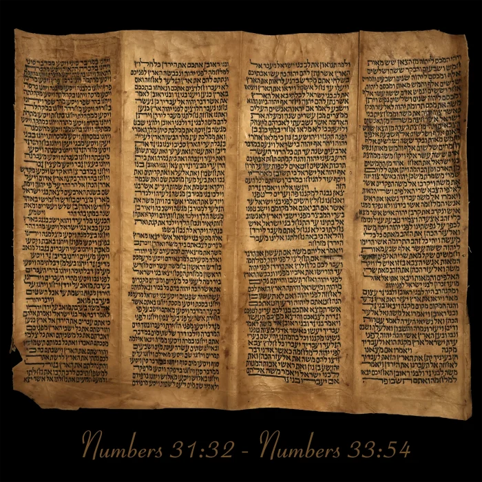 Torah Scroll - Antique Sephardic Torah Fragment Handwritten on Sheep Skin Numbers 31:32 - Numbers 33:54