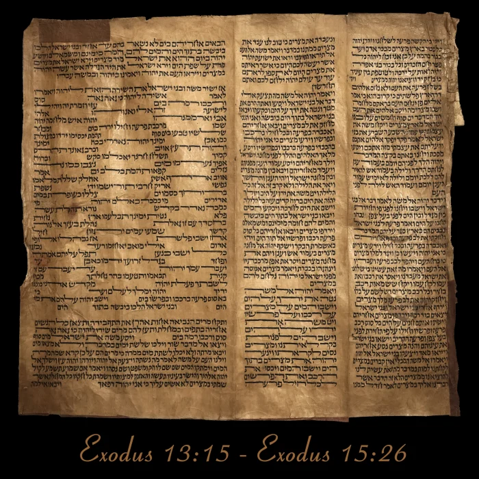 Torah Scroll - Antique Sephardic Torah/Hebrew Bible Pages Handwritten, Exodus 13:15 - Exodus 15:26