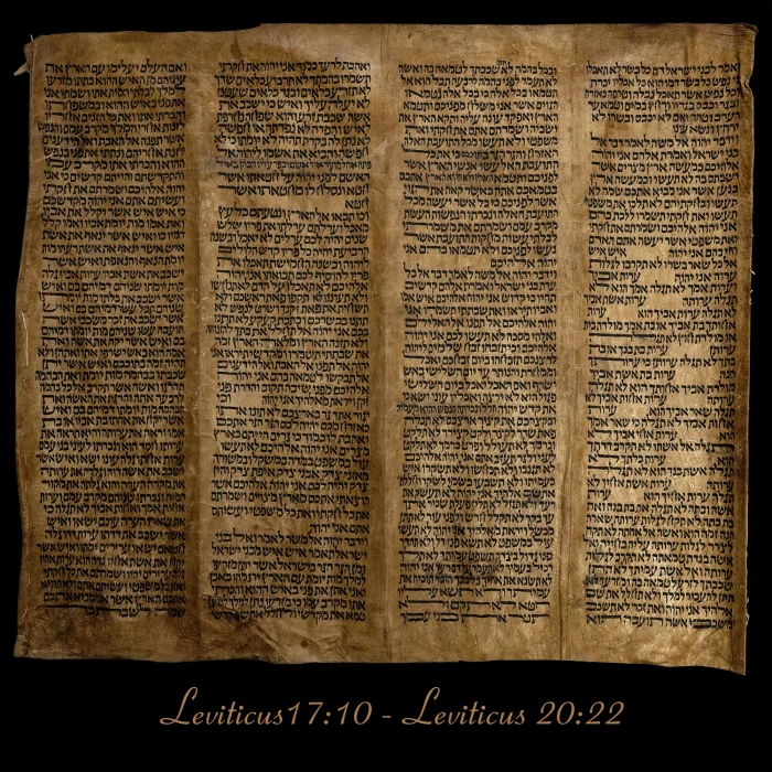 Torah Scroll - Antique Sephardic Torah Fragment Handwritten on Sheep Skin Leviticus17:10 - Leviticus 20:22