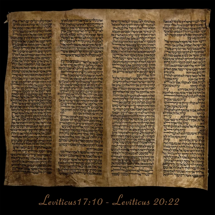 Torah Scroll - Antique Sephardic Torah/Hebrew Bible Pages Handwritten, Leviticus 17:10 - Leviticus 20:22