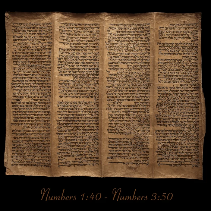 Torah Scroll - Antique Sephardic Torah Fragment Handwritten on Sheep Skin Numbers 1:40 - Numbers 3:50