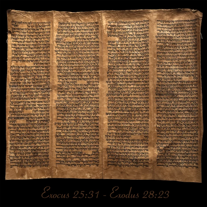 Torah Scroll - Antique Sephardic Torah Fragment Handwritten on Sheep Skin Exodus 25:31 - Exodus 28:23