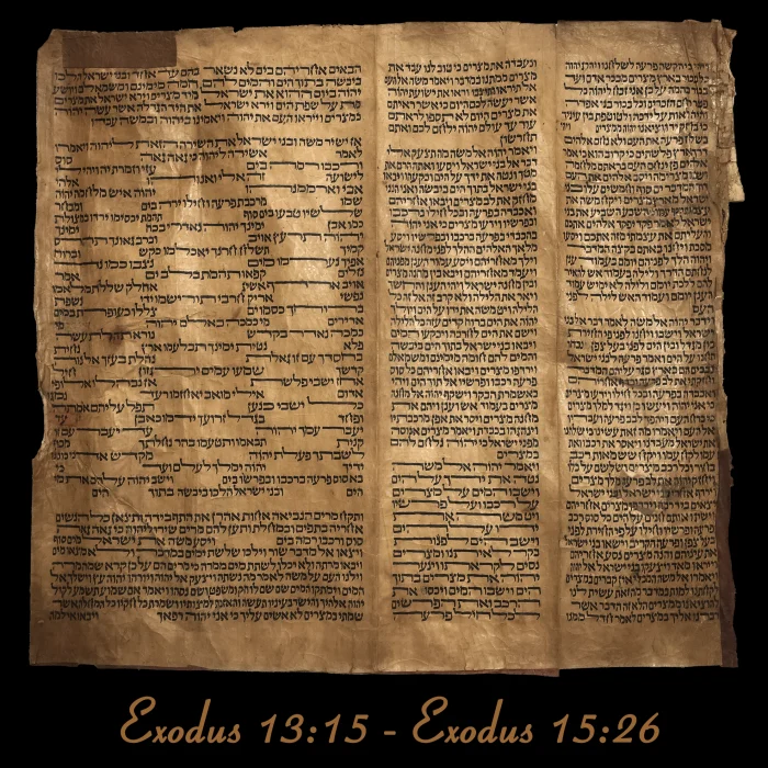 Torah Scroll - Antique Sephardic Torah/Hebrew Bible Pages Handwritten, Exodus 25:31 - Exodus 28:23