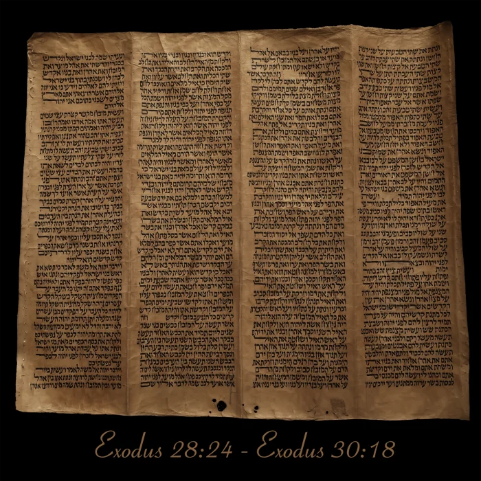Torah Scroll - Antique Sephardic Torah Fragment Handwritten on Sheep Skin Exodus 28:24 - Exodus 30:18