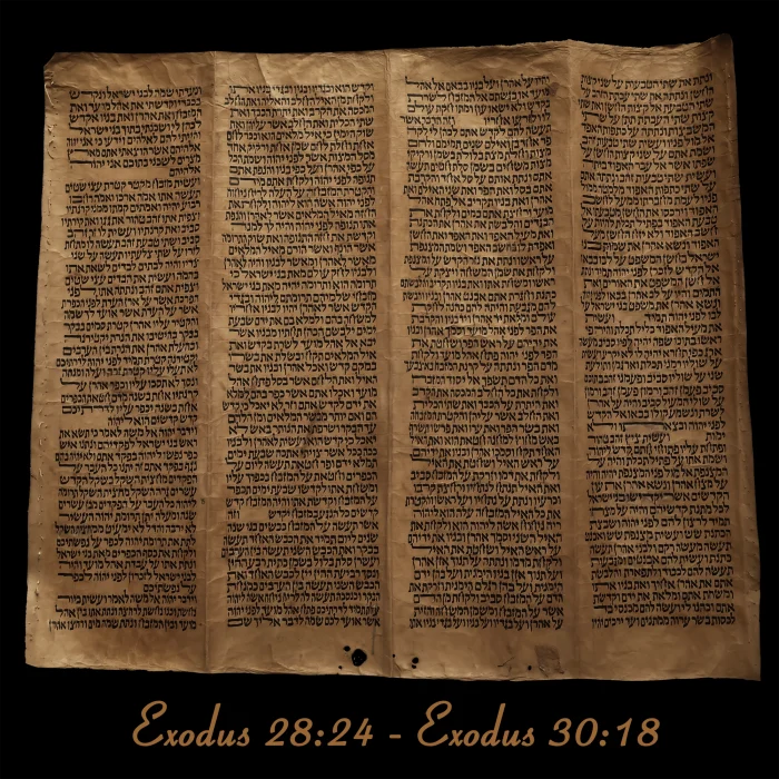 Torah Scroll - Antique Sephardic Torah/Hebrew Bible Pages Handwritten, Exodus 28:24 - Exodus 30:18