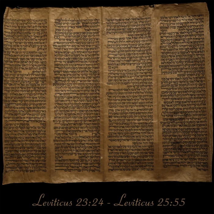 Torah Scroll - Antique Sephardic Torah Fragment Handwritten on Sheep Skin Leviticus 23:24 - Leviticus 25:55