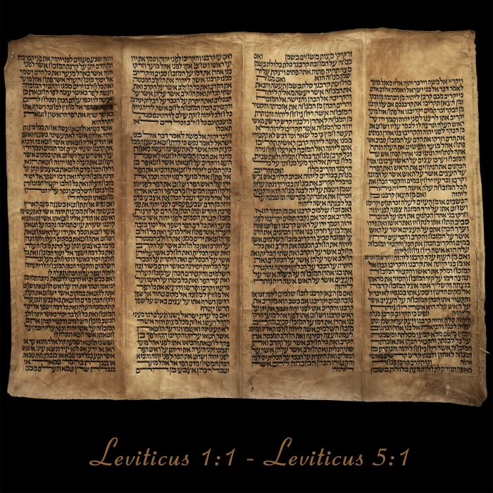 Torah Scroll - Antique Sephardic Torah/Hebrew Bible Pages Handwritten, Leviticus 1:1 - Leviticus 5:1