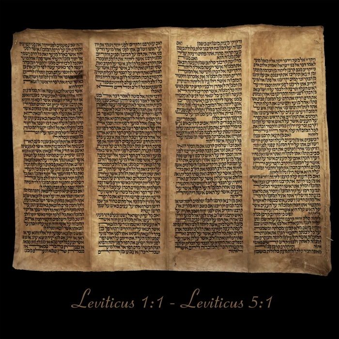 Torah Scroll - Antique Sephardic Torah Fragment Handwritten on Sheep Skin Leviticus 1:1 - Leviticus 5:1