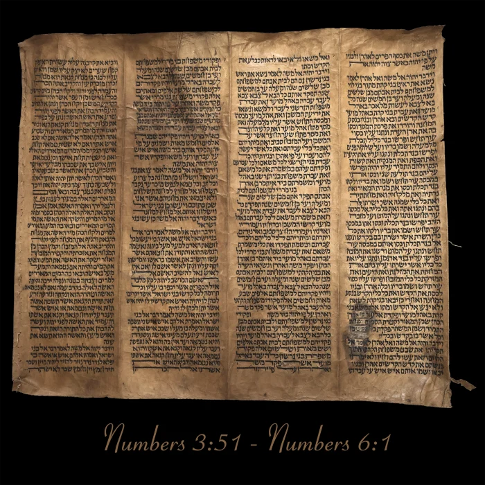 Torah Scroll - Antique Sephardic Torah Fragment Handwritten on Sheep Skin Numbers 3:51 - Numbers 6:1