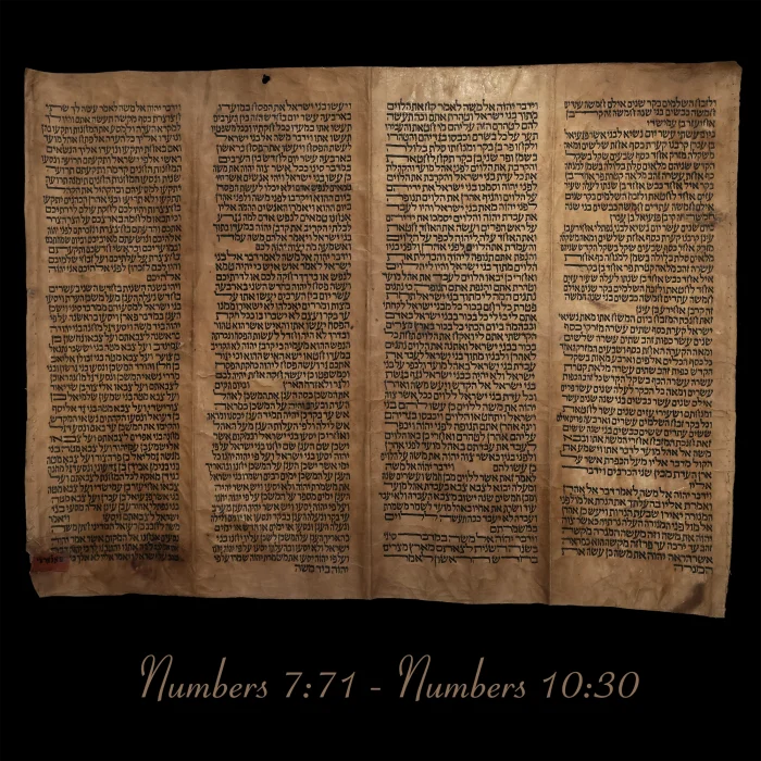 Torah Scroll - Antique Sephardic Torah Fragment Handwritten on Sheep Skin Numbers 7:71 - Numbers 10:30