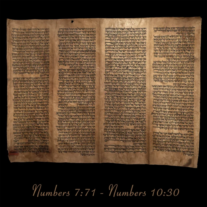 Torah Scroll - Antique Sephardic Torah/Hebrew Bible Pages Handwritten, Numbers 7:71 - Numbers 10:30
