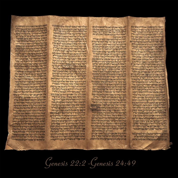 Torah Scroll - Antique Sephardic Torah Fragment Handwritten on Sheep Skin Genesis 22:2-Genesis 24:49