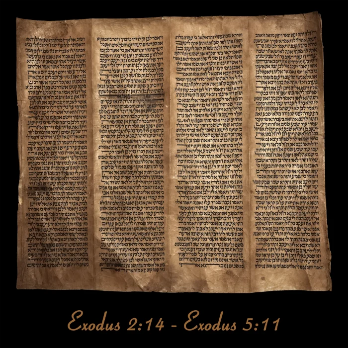 Torah Scroll - Antique Sephardic Torah/Hebrew Bible Pages Handwritten, Exodus 2:14 - Exodus 5:11