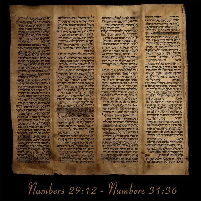 Torah Scroll - Antique Sephardic Torah/Hebrew Bible Pages Handwritten, Numbers 29:12 - Numbers 31:36