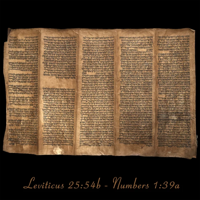 Torah Scroll - Antique Sephardic Torah/Hebrew Bible Pages Handwritten, Leviticus 25:54b - Numbers 1:39a