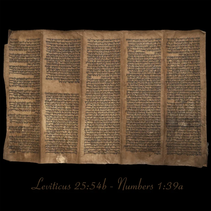 Torah Scroll - Antique Sephardic Torah Fragment Handwritten on Sheep Skin Leviticus 25:54b - Numbers 1:39a