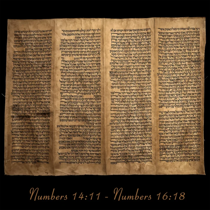 Torah Scroll - Antique Sephardic Torah/Hebrew Bible Pages Handwritten, Numbers 14:11 - Numbers 16:18