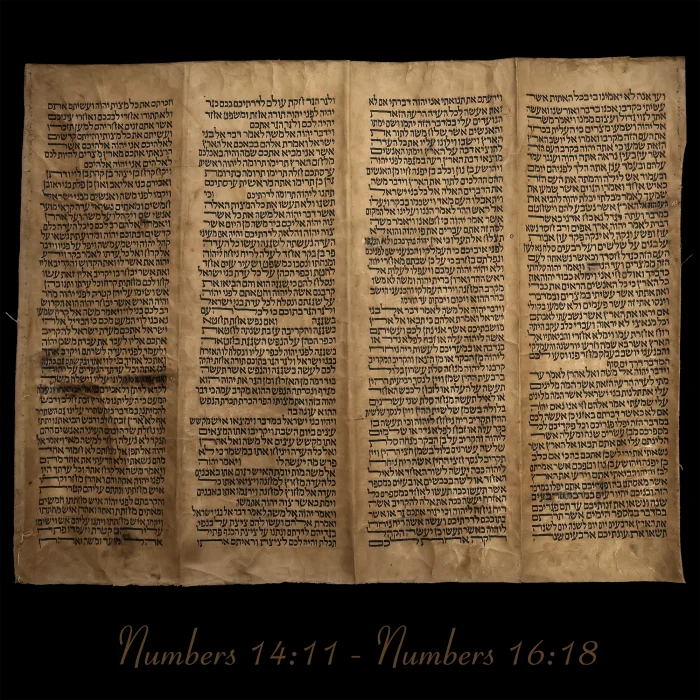 Torah Scroll - Antique Sephardic Torah Fragment Handwritten on Sheep Skin Numbers 14:11 - Numbers 16:18