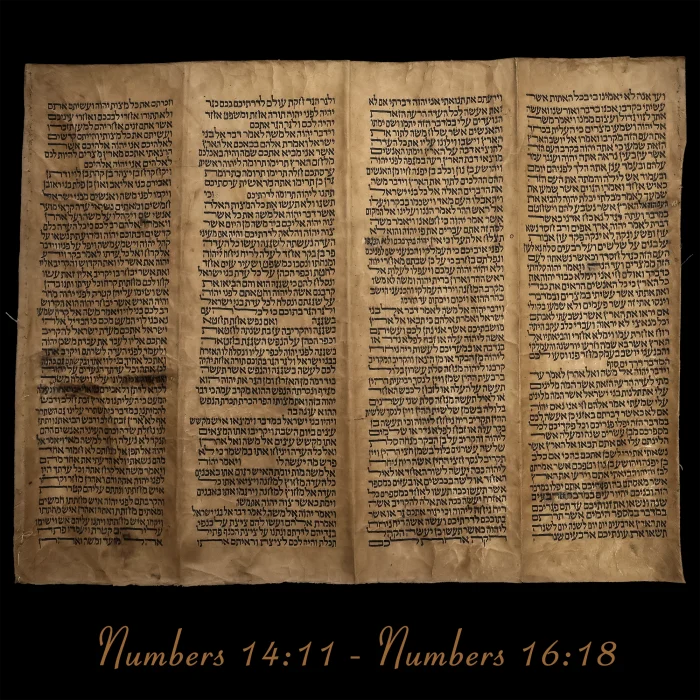 Torah Scroll - Antique Sephardic Torah/Hebrew Bible Pages Handwritten, Numbers 14:11 - Numbers 16:18