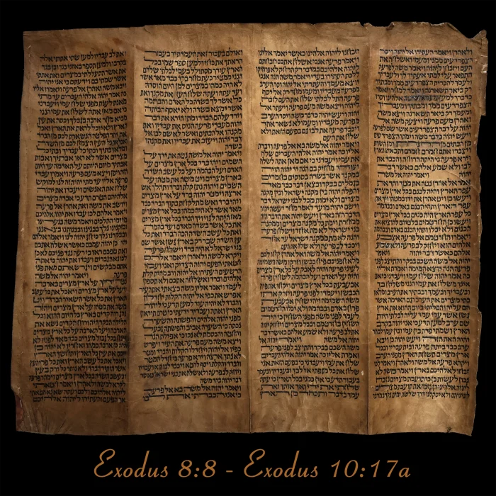 Torah Scroll - Antique Sephardic Torah/Hebrew Bible Pages Handwritten, Exodus 8:8 – Exodus 10:17a