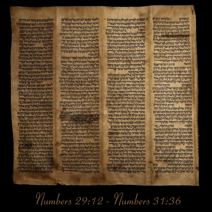 Torah Scroll - Antique Sephardic Torah Fragment Handwritten on Sheep Skin Numbers 29:12 - Numbers 31:36