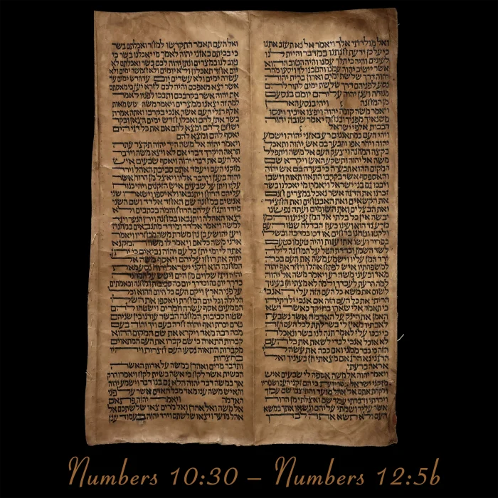 Torah Scroll - Antique Sephardic Torah/Hebrew Bible Pages Handwritten, Numbers 10:30 – Numbers 12:5b