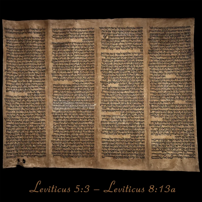 Torah Scroll - Antique Sephardic Torah/Hebrew Bible Pages Handwritten, Leviticus 5:3 – Leviticus 8:13a