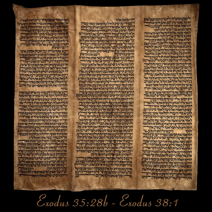 Torah Scroll - Antique Sephardic Torah/Hebrew Bible Pages Handwritten, Exodus 35:28b - Exodus 38:1