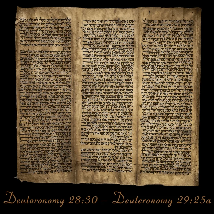 Torah Scroll - Antique Sephardic Torah Fragment Handwritten, Deuteronomy 28:30 – 29:25a