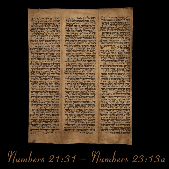 Torah Scroll - Antique Sephardic Torah Fragment Handwritten, Numbers 21:31 – Numbers 23:13a