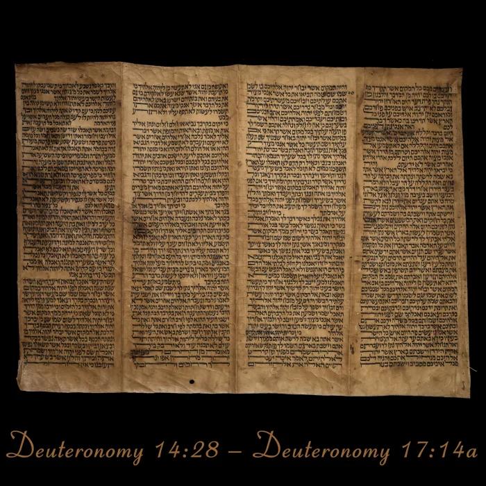 Torah Scroll - Antique Sephardic Torah Fragment Handwritten, Deuteronomy 11:24 – Deuteronomy 14:27a