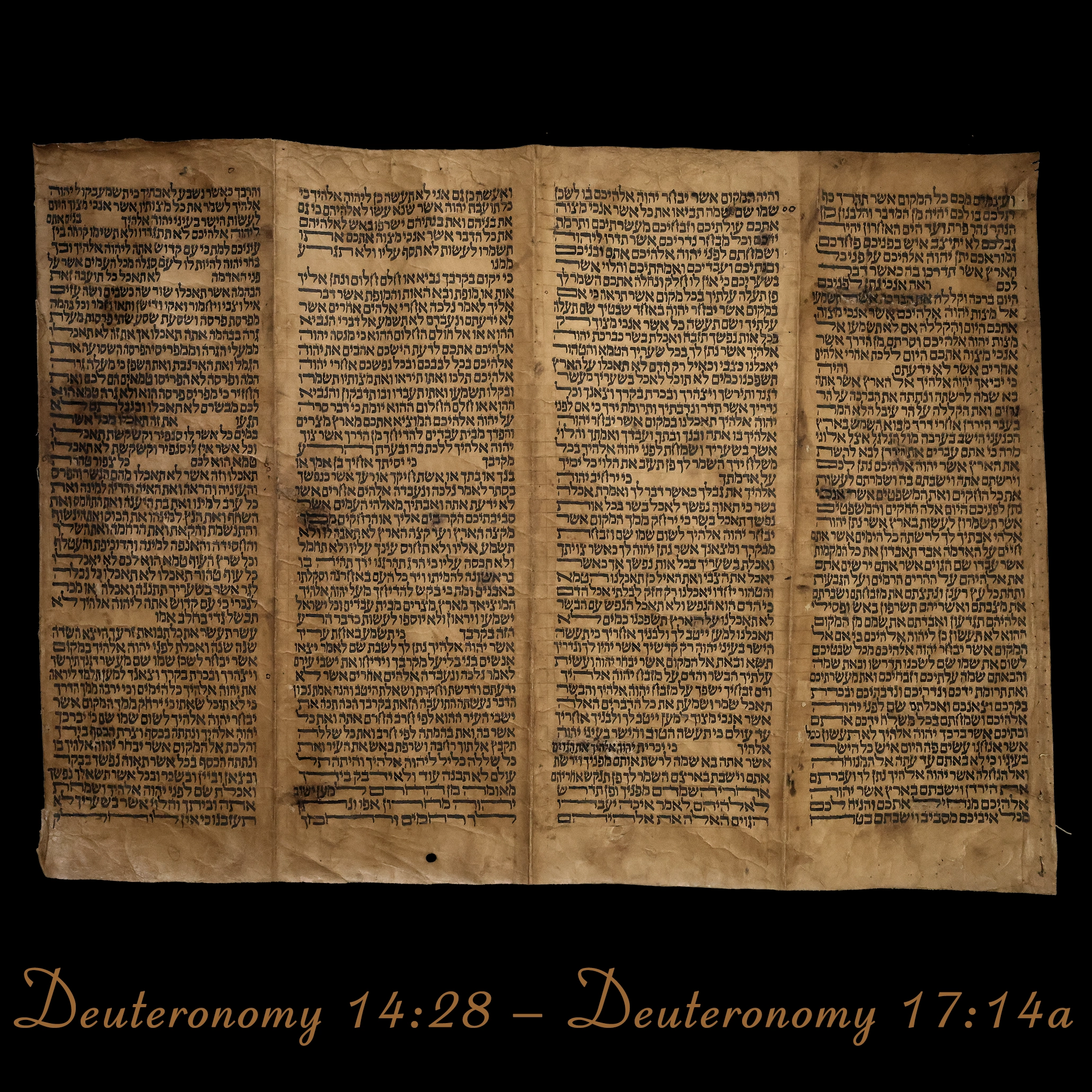 Torah Scroll - Antique Sephardic Torah Fragment Handwritten, Deuteronomy 11:24 – Deuteronomy 14:27a