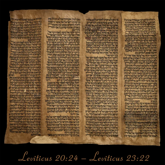 Torah Scroll - Antique Sephardic Torah Fragment Handwritten, Leviticus 20:24 – Leviticus 23:22